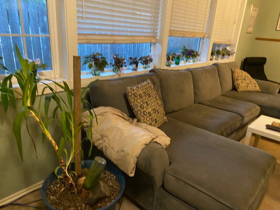 TV Room