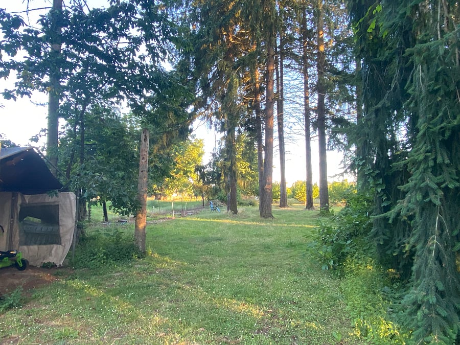 Backyard