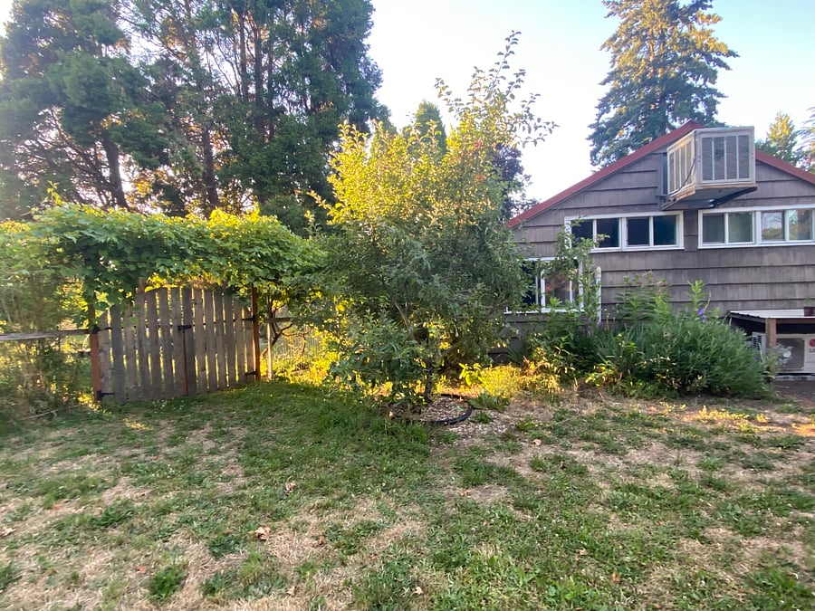 Entrance to garden