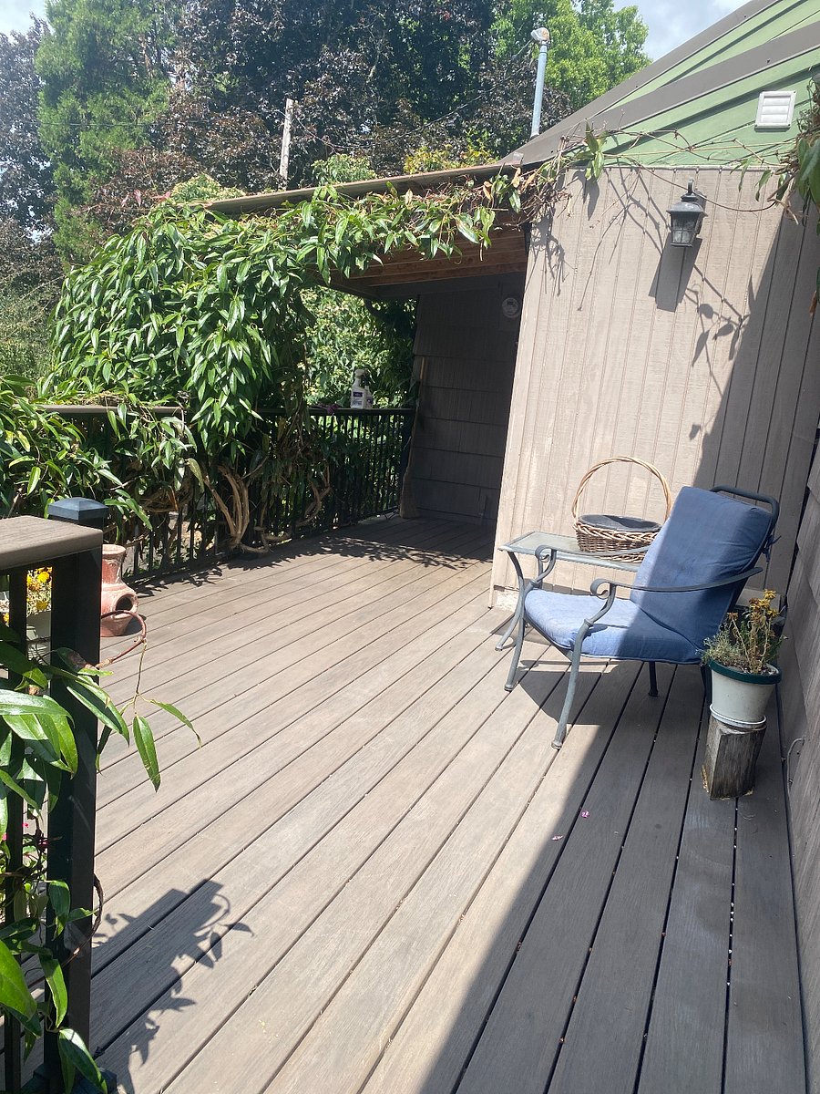 Back deck