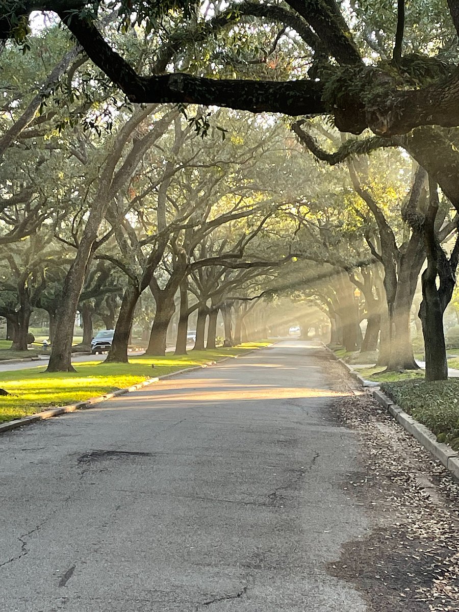 Beautiful mansions on oak tree- lined boulevards just around the corner