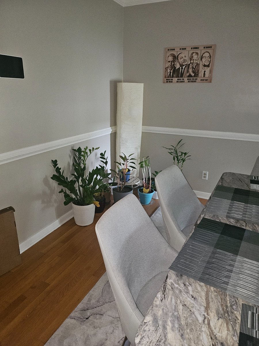 Furnished Finder property 733369_1 photo 8