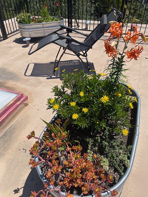 Furnished Finder property 733592_1 photo 19