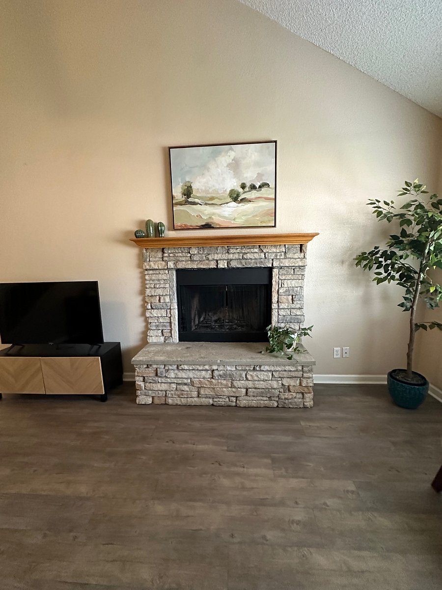 Wood burning fireplace