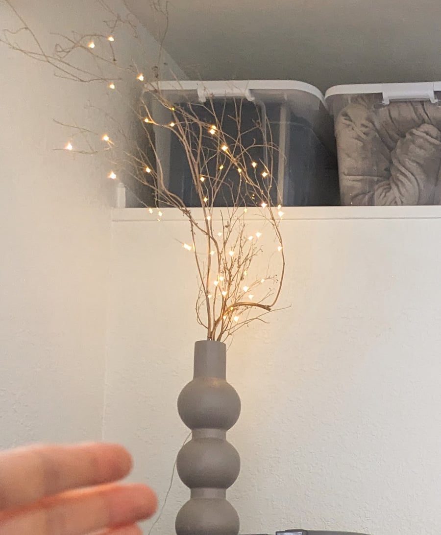 Twinkle lights automatically add a magical touch from around 4 pm to 10 pm daily.