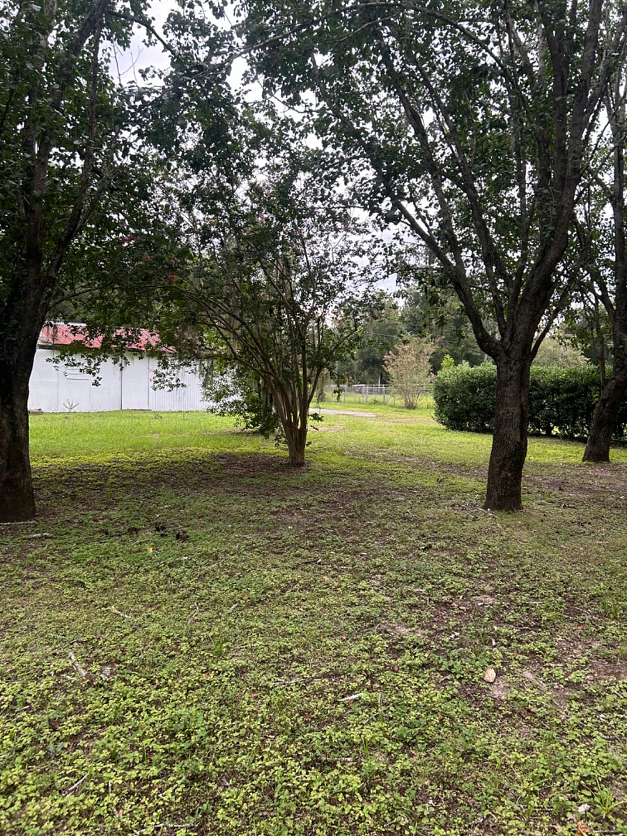 Furnished Finder property 733888_1 photo 11