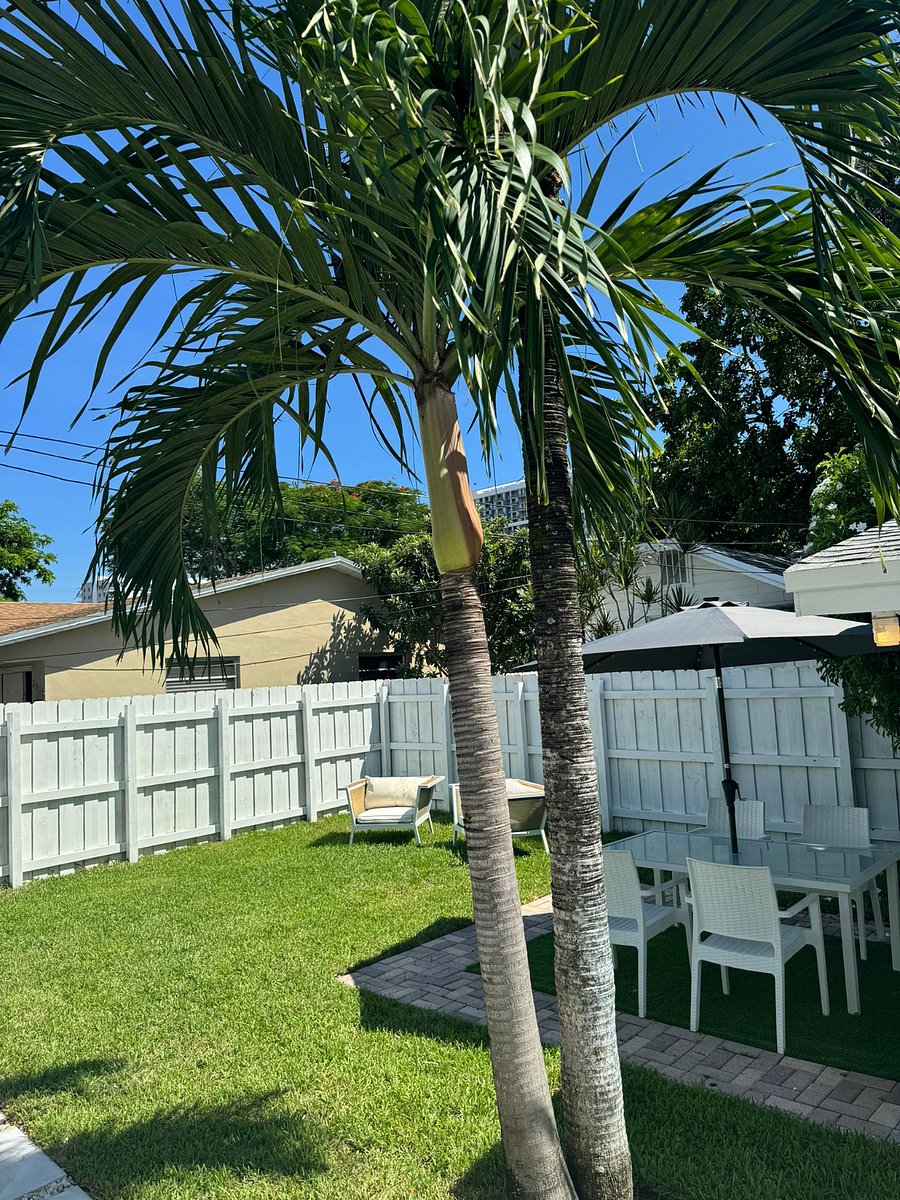 Furnished Finder property 733929_1 photo 11