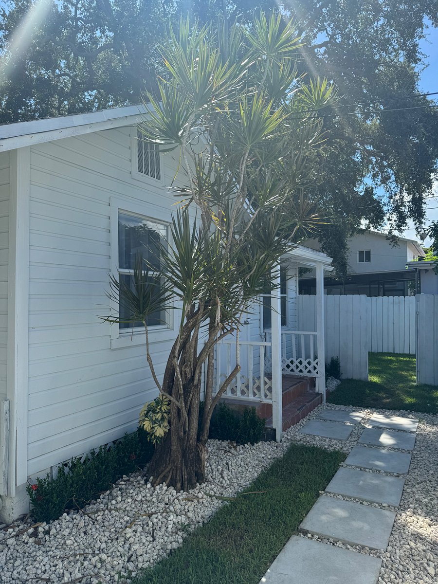Furnished Finder property 733929_1 photo 20