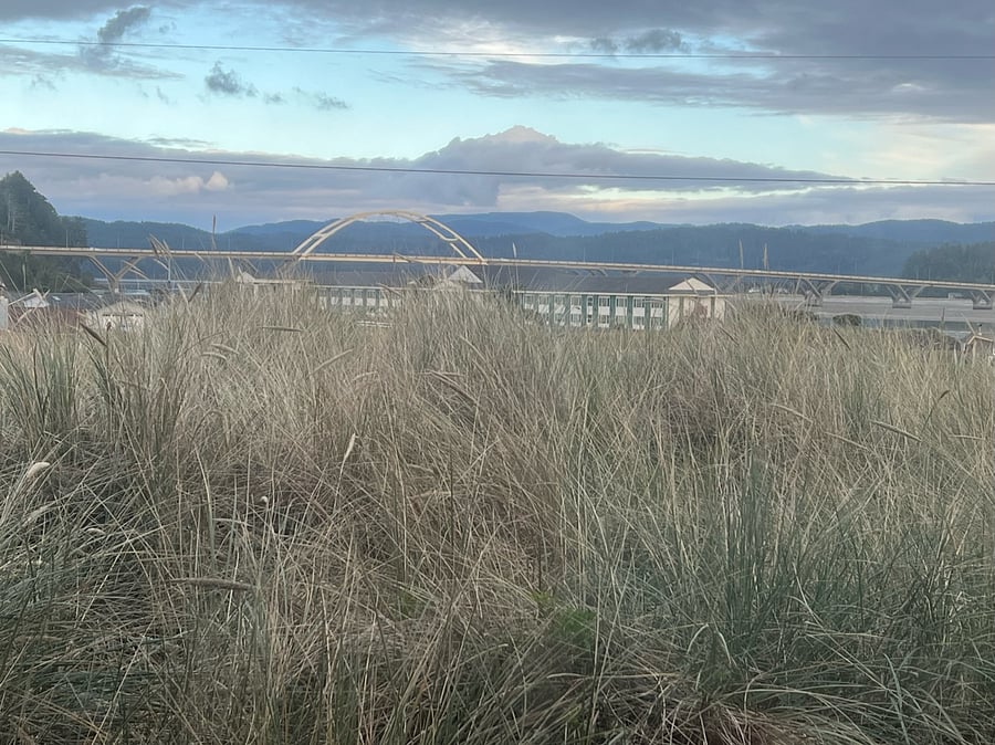 Looking east toward Alsea bridge and river