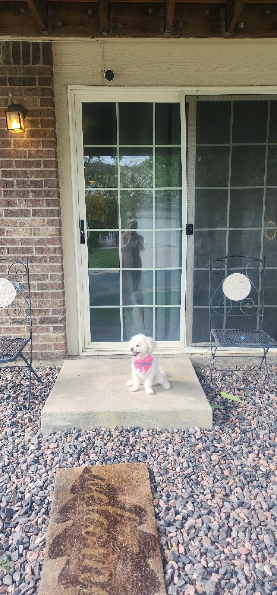 She lives in the main house, she is 7 pounds and sweet as pie. This is the private entrance to your place.