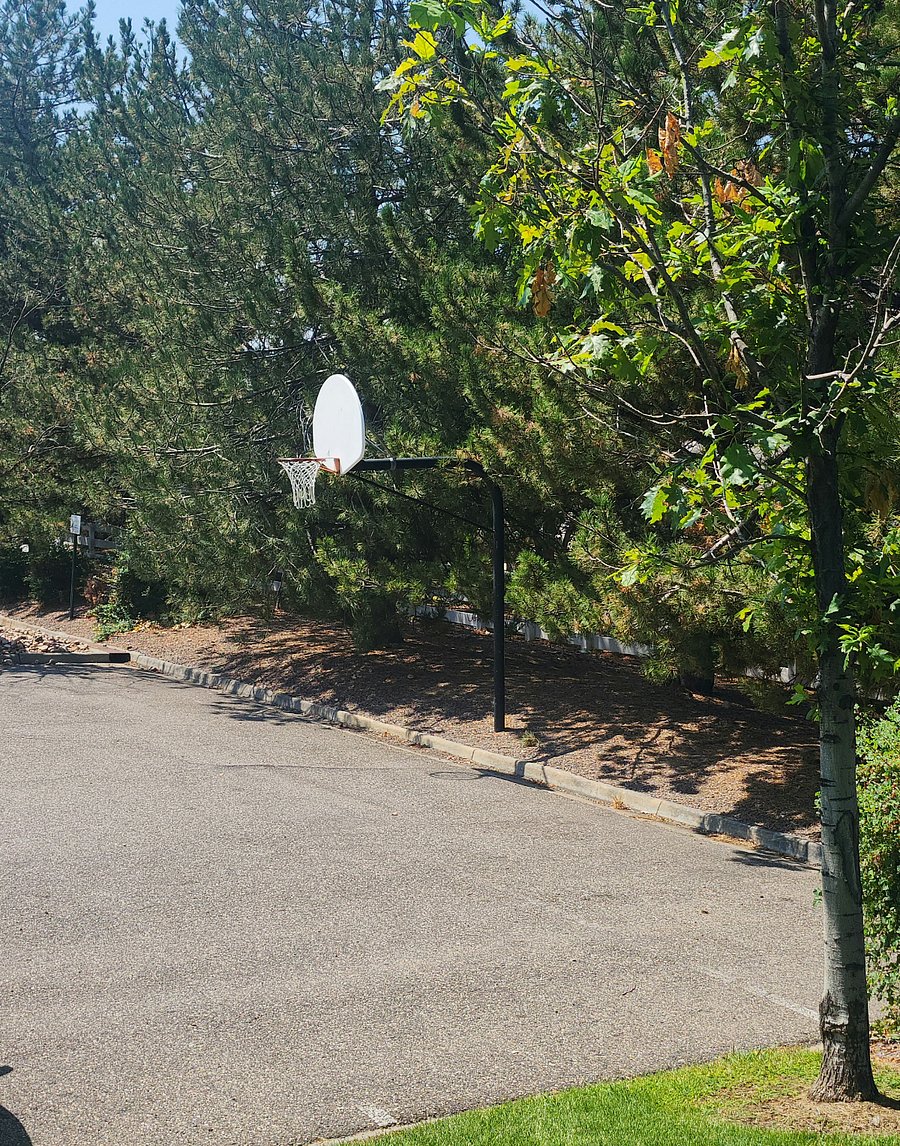 Three basket hoops are also present on the property.