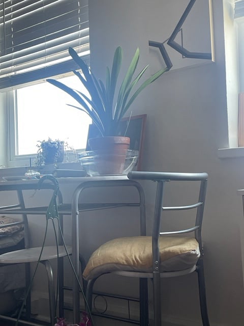 Furnished Finder property 733981_1 photo 4