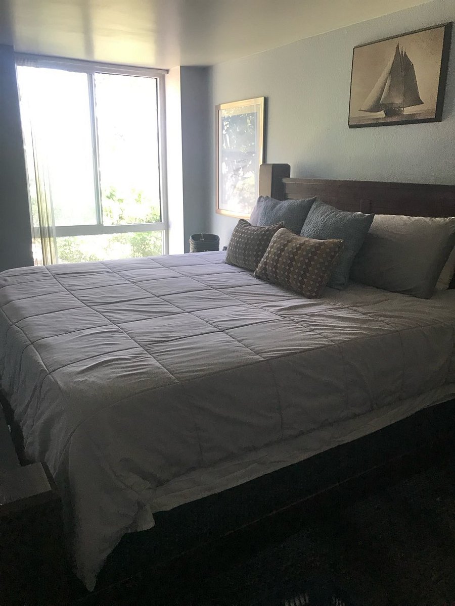 Furnished Finder property 734014_1 photo 15