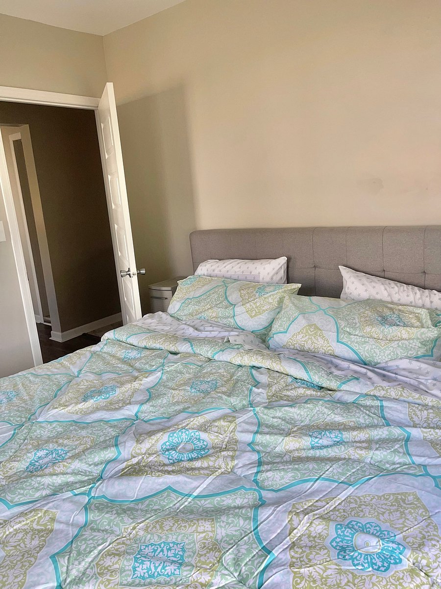 Furnished Finder property 734221_1 photo 22