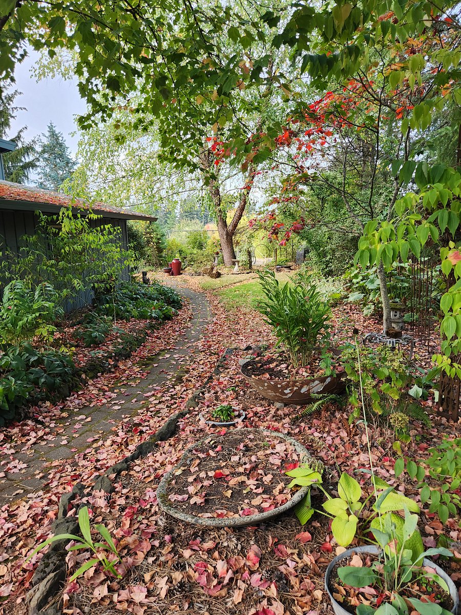 Furnished Finder property 734225_1 photo 13