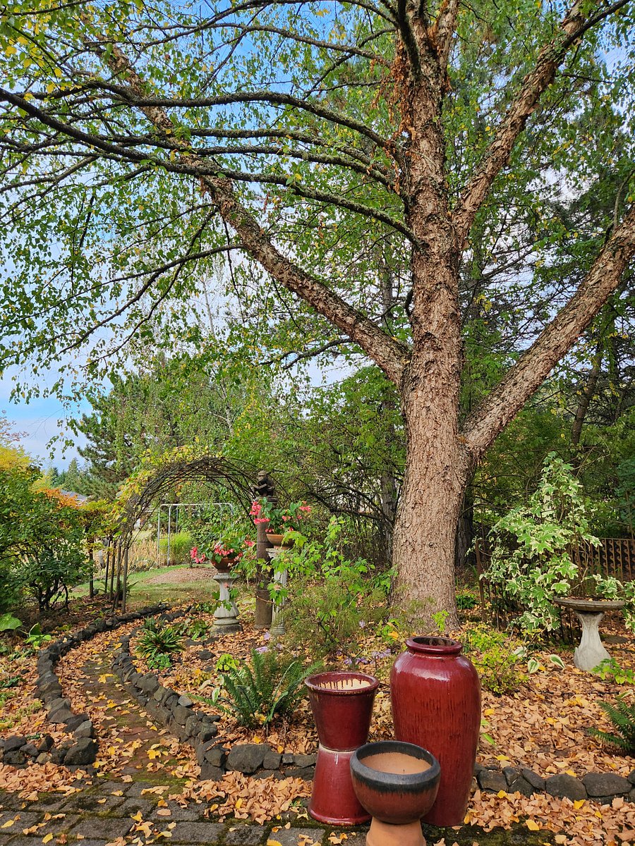 Furnished Finder property 734225_1 photo 3
