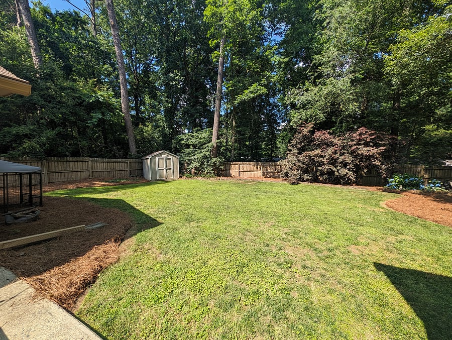 Backyard