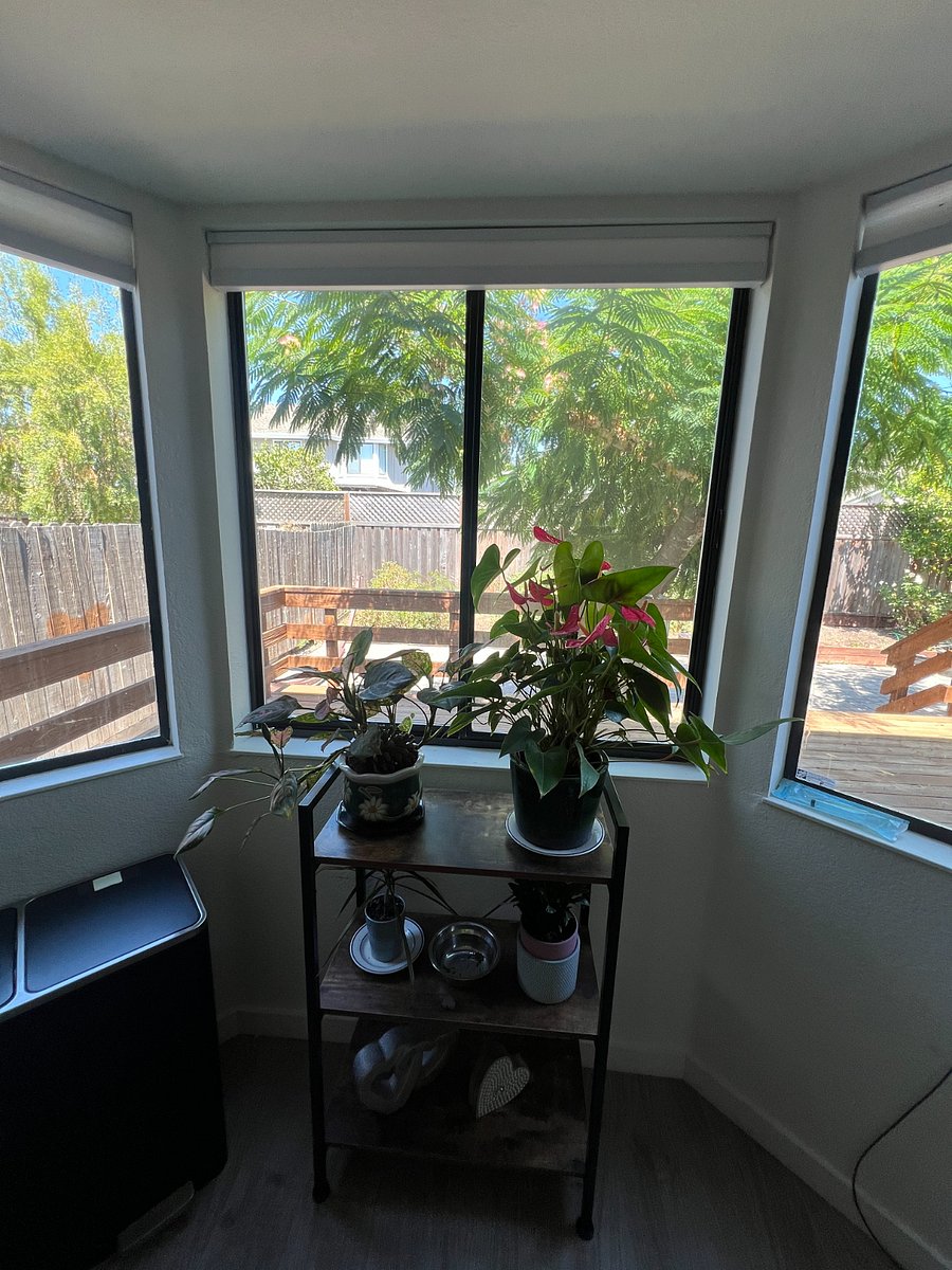 Furnished Finder property 734367_1 photo 11