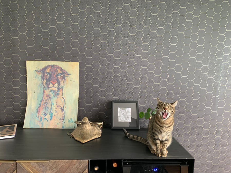 Credenza and wine cooler