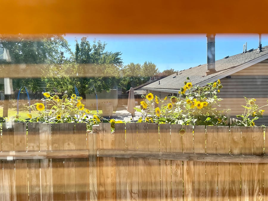 Nice neighbors