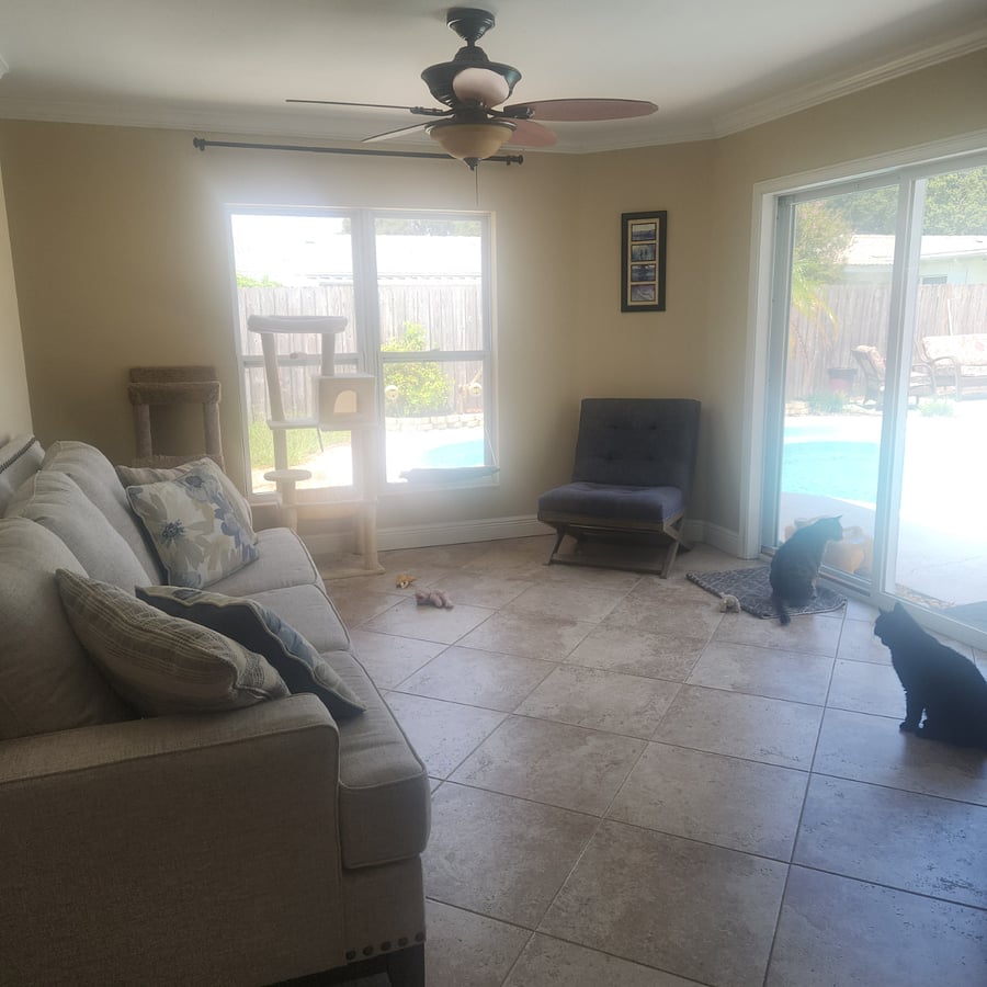 Furnished Finder property 734580_1 photo 10