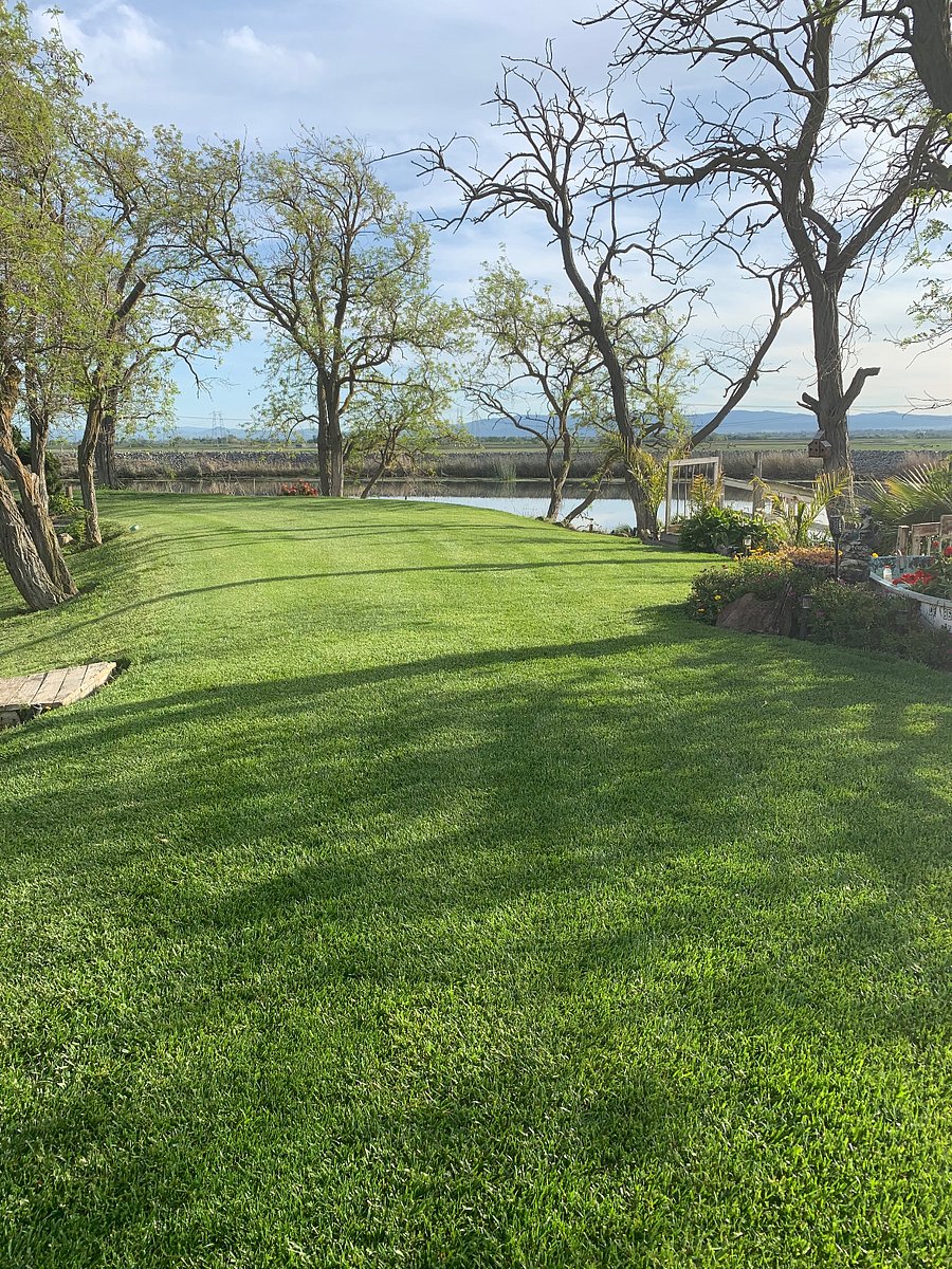 Furnished Finder property 734582_1 photo 2