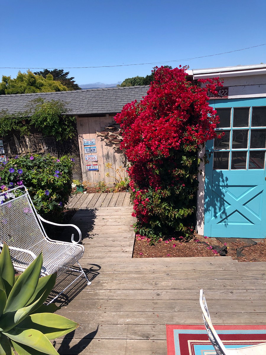 Furnished Finder property 734596_1 photo 12