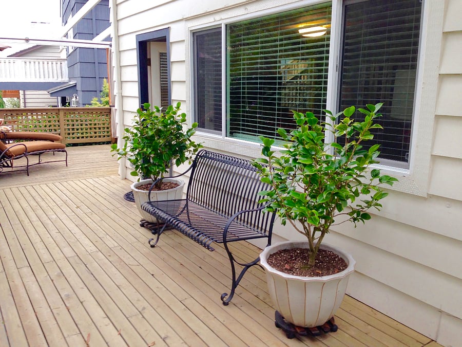 Furnished Finder property 734688_1 photo 15