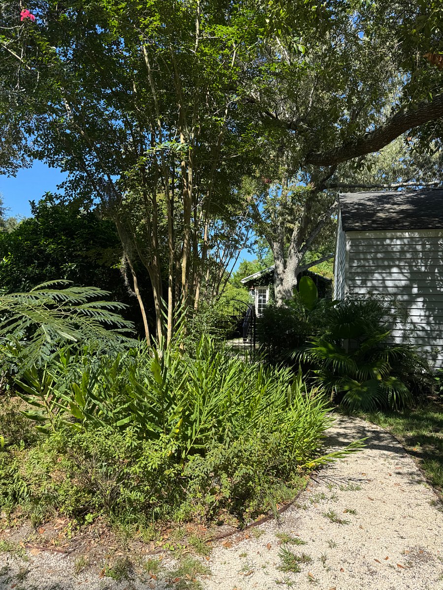 Parking and path back