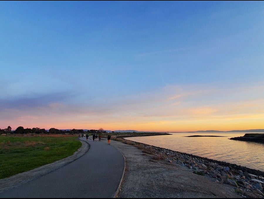 San Leandro Marina trail and dog park
