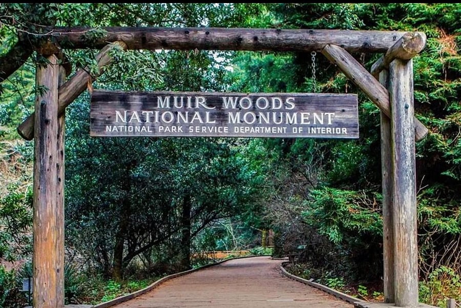 Muir Woods National Park in Marin with our famous California Redwoods is about an hour drive.