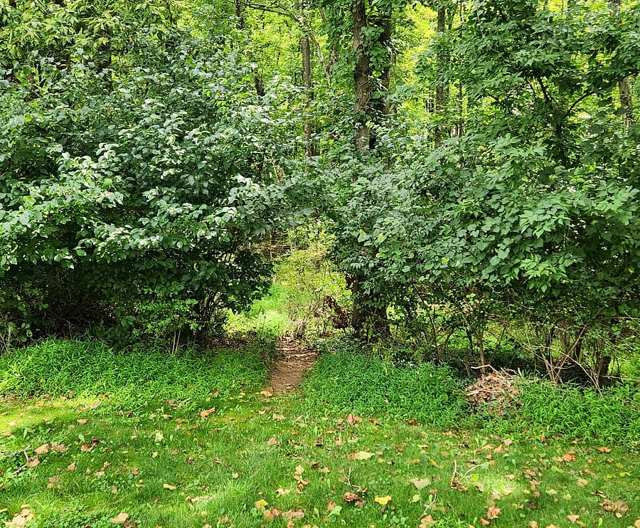 Enjoy walking and biking trails just steps from your front door.