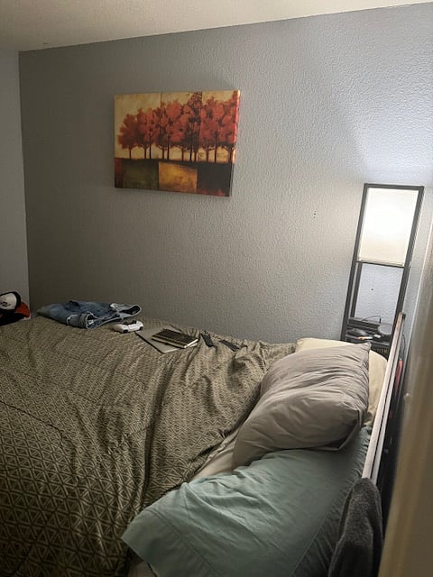 Furnished Finder property 735187_1 photo 3