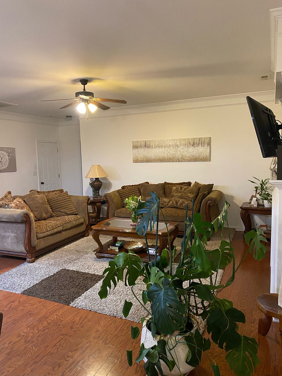 Furnished Finder property 735219_1 photo 20