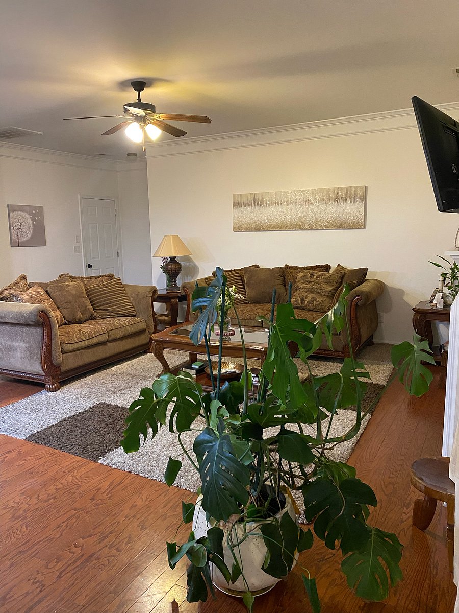 Furnished Finder property 735219_4 photo 24