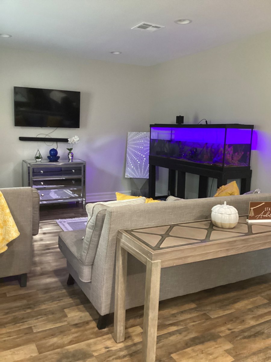 Furnished Finder property 735339_1 photo 5