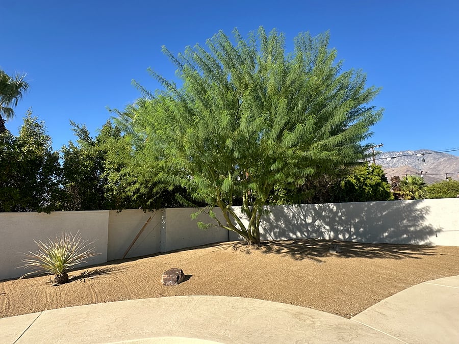 Furnished Finder property 735347_1 photo 5