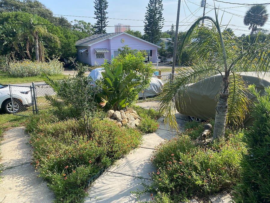 Front yard