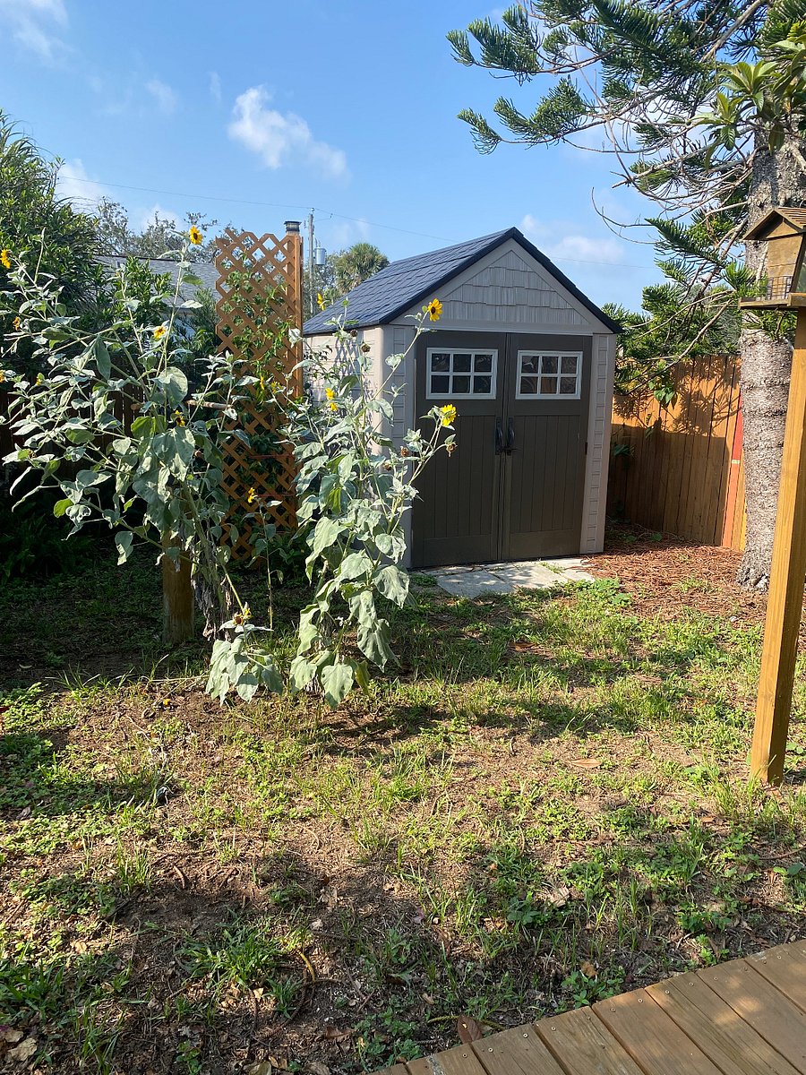 View from deck (south)