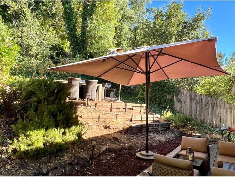 Backyard lounge area