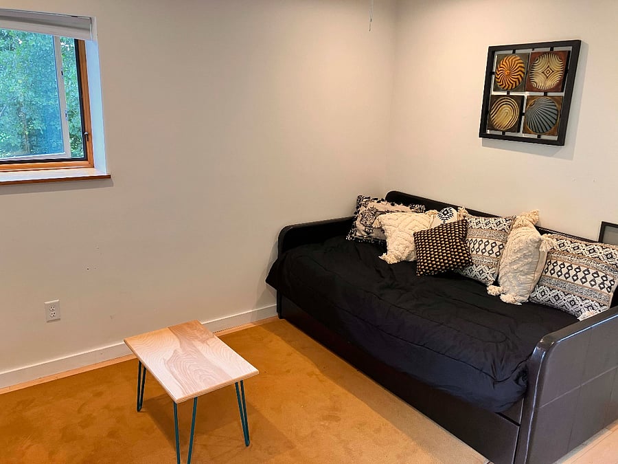Downstairs Bedroom or Living Room
