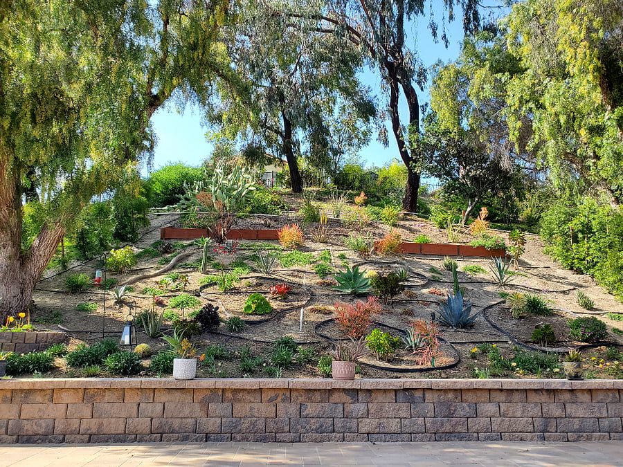 Outdoor Oasis: Landscaped garden, spacious patio with fire pit and comfortable seating for relaxing
