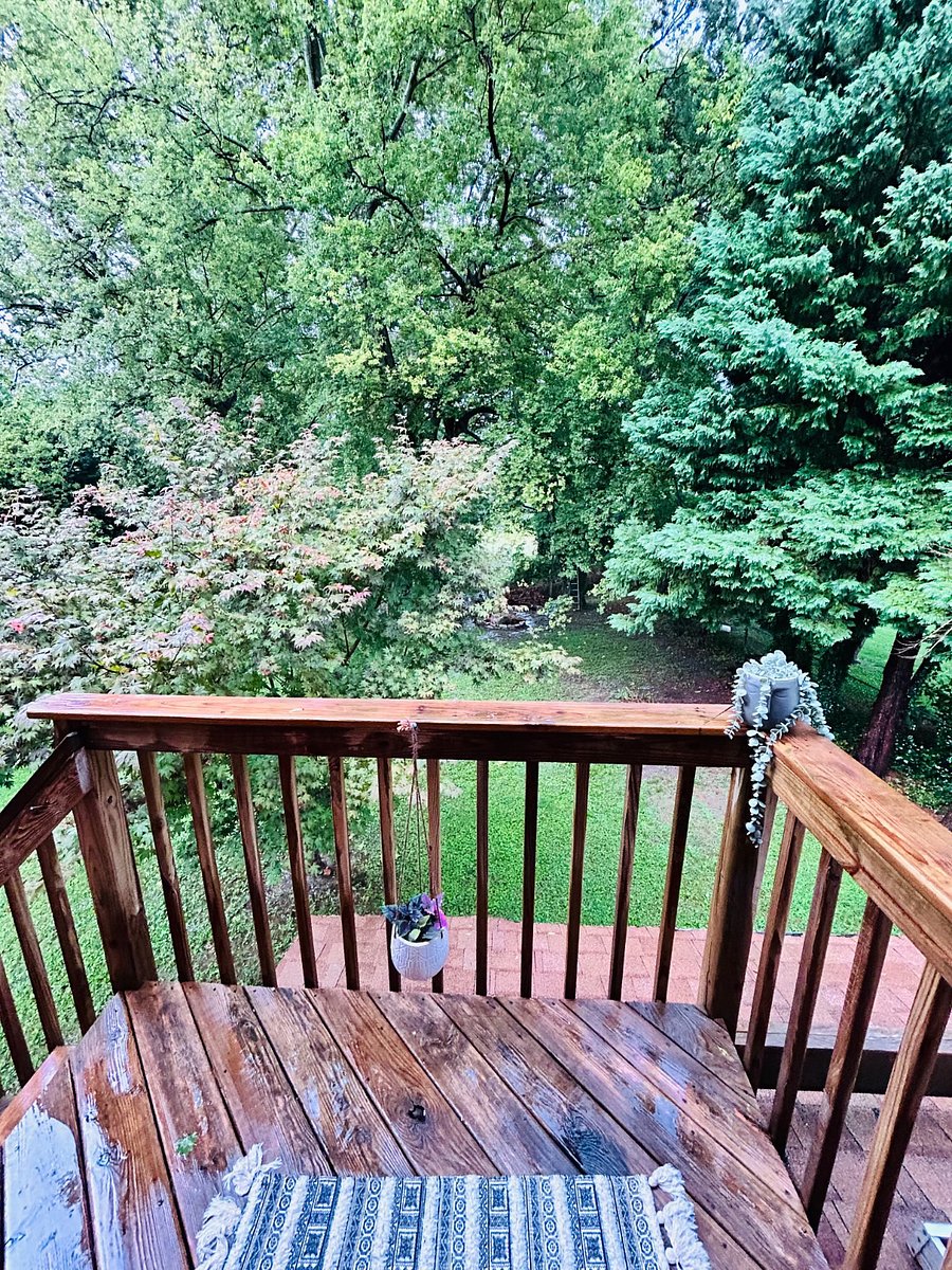 Furnished Finder property 735585_1 photo 10