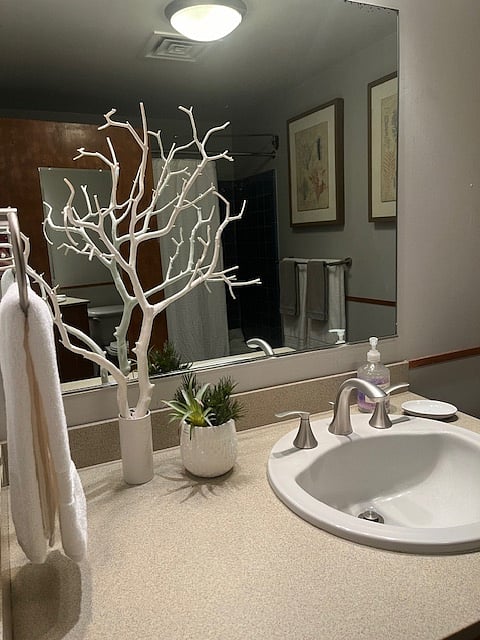 Furnished Finder property 735859_1 photo 4