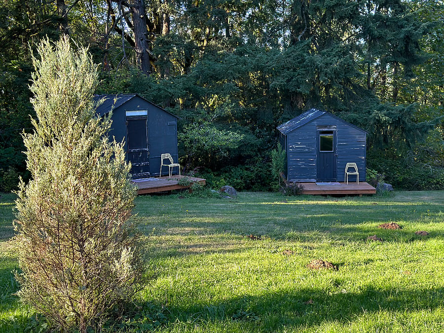 Cabin area.4 cabins total, glamping purposes only. And extra fee if needed for a weekend!