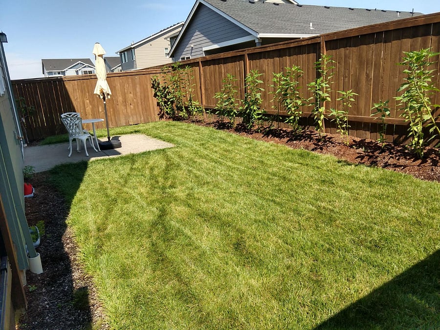 backyard space, with electric grill available upon request