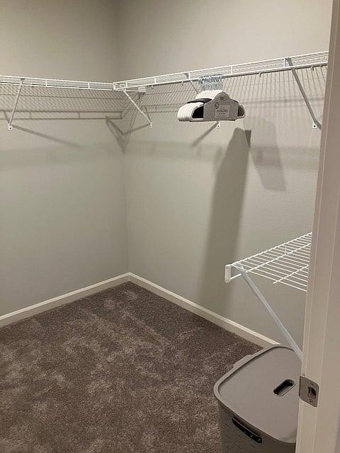 half of primary bedroom closet