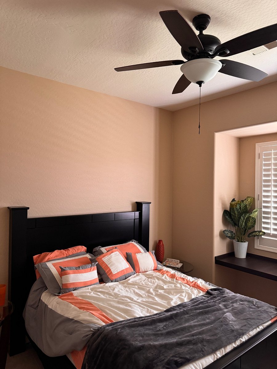 Furnished Finder property 736437_1 photo 22