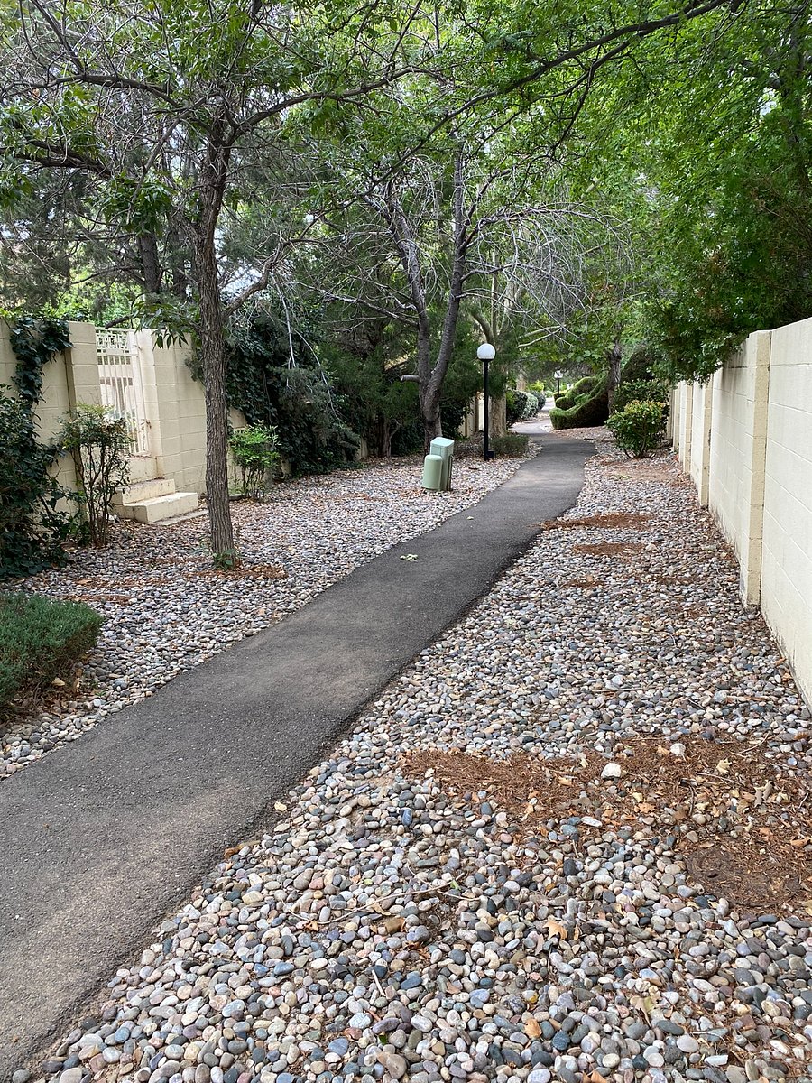 Paved walking path behind house
