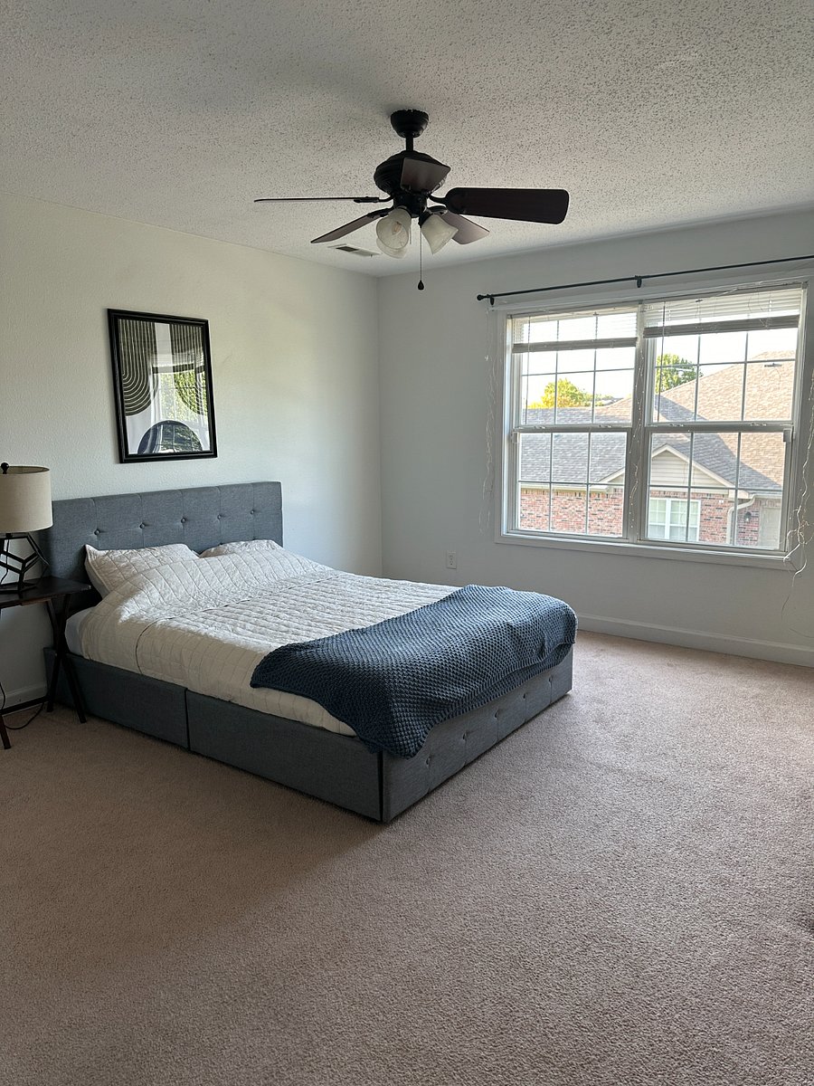 Giant windows with great sunlight, blinds, and curtain (not shown)
